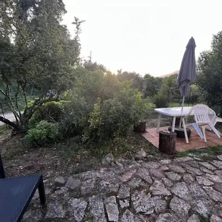 Chez Mani *